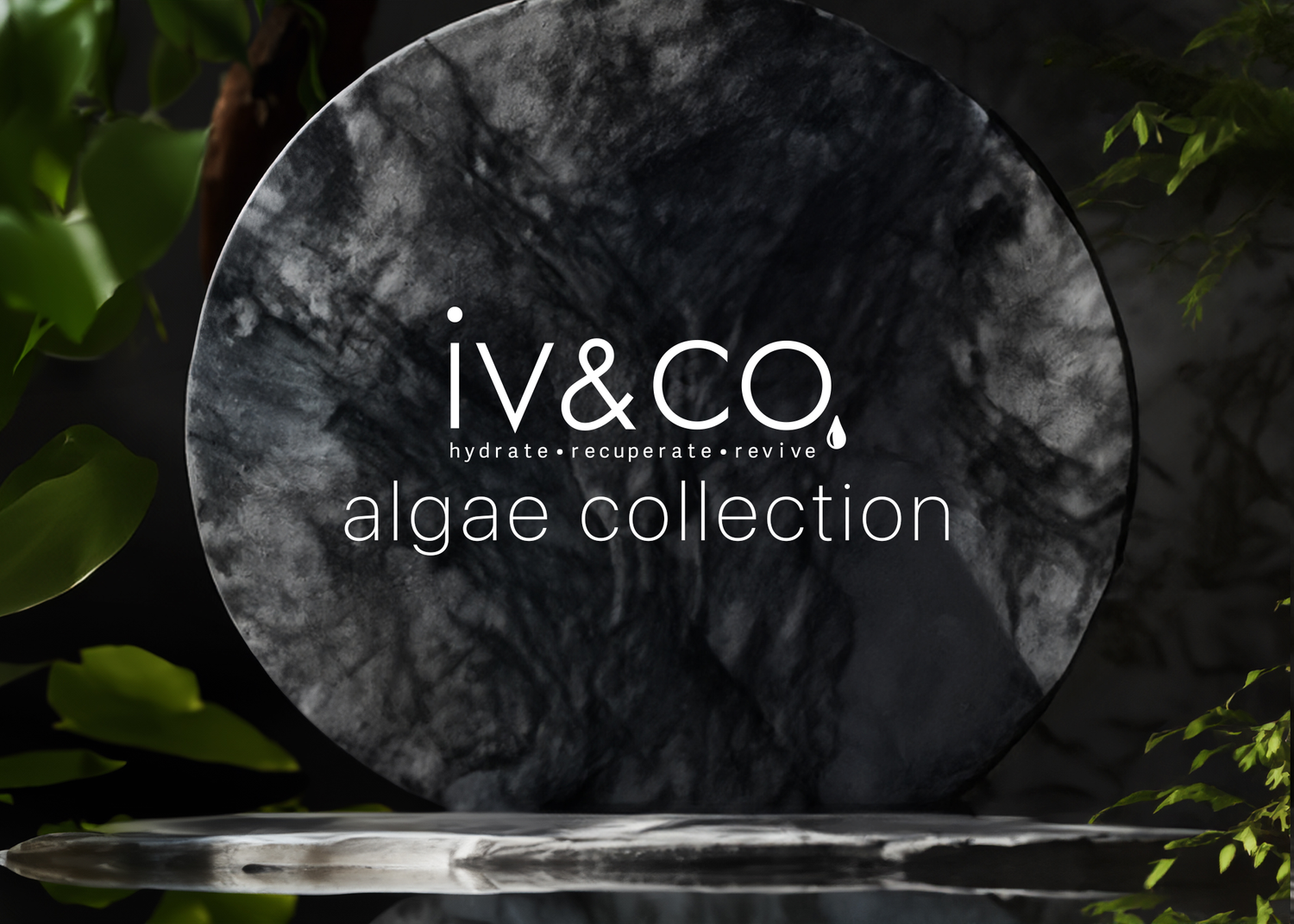 Algae Collection