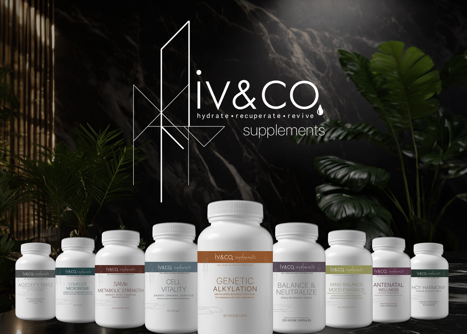 iv&co supplement line