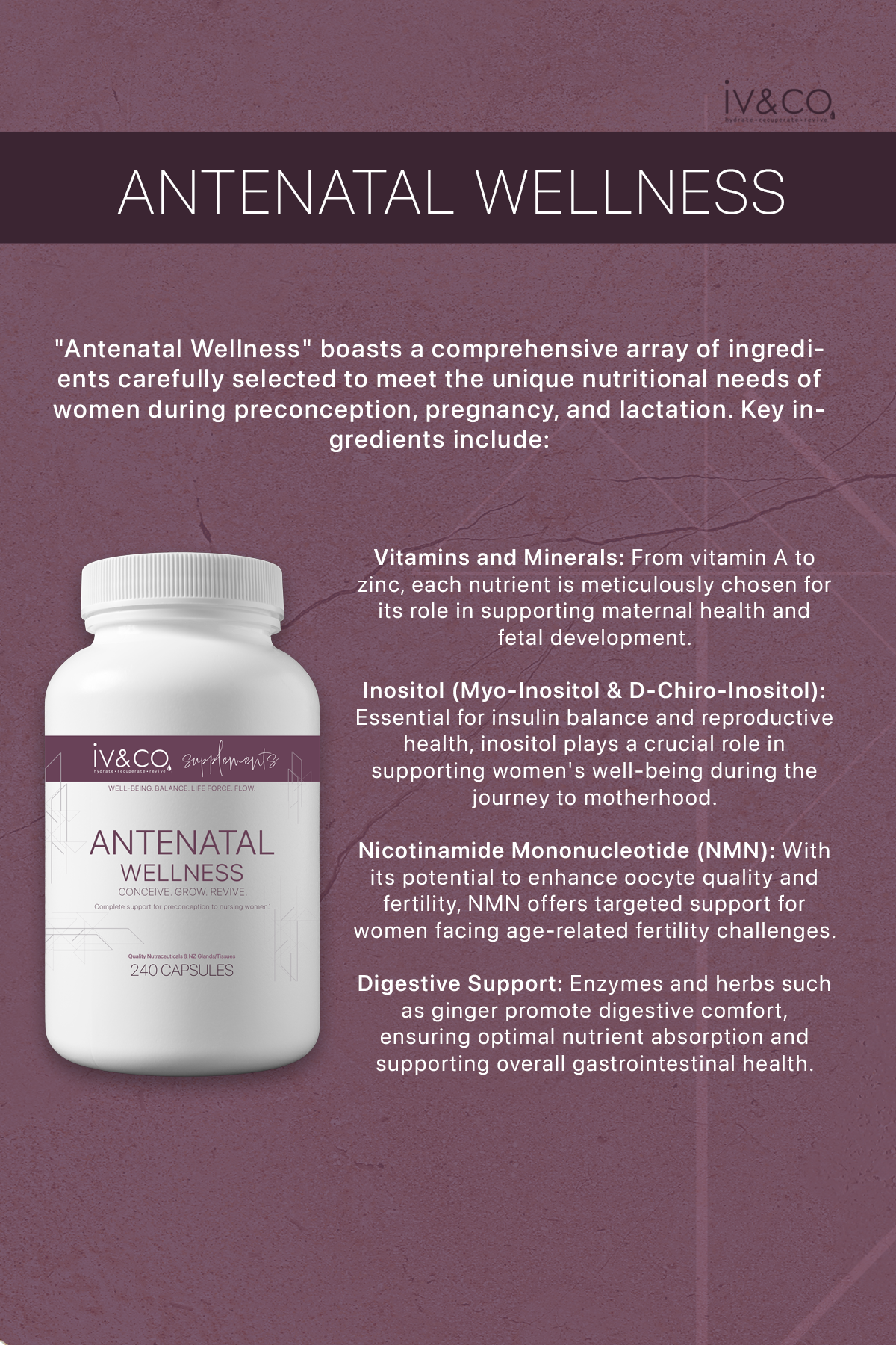 Antenatal Wellness by iv&co